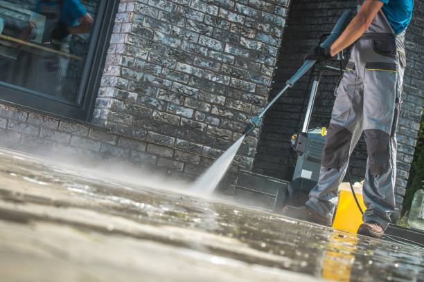 Best Pool Deck Cleaning  in Bad Axe, MI
