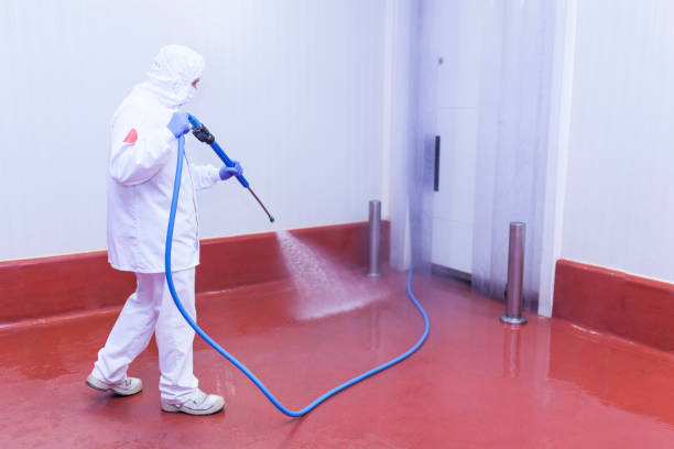 Best Rust Removal  in Bad Axe, MI