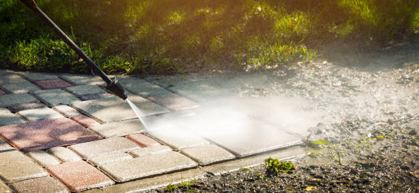 Best Dumpster Area Cleaning  in Bad Axe, MI