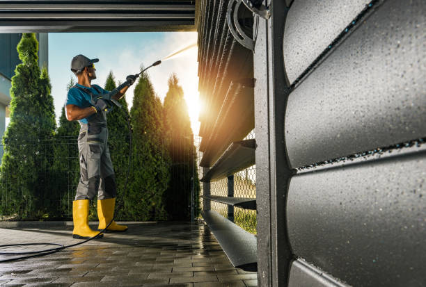 Best Roof Washing  in Bad Axe, MI